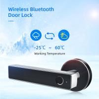 China Safety Locks Wireless Bluetooth Remote Control WiFi Fingerprint Electronic Door Handle Lever Lock on sale