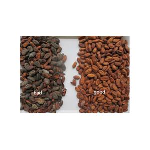 China 1 Ton/H Cocoa Beans Belt Color Sorte Throughput RGB CCD supplier