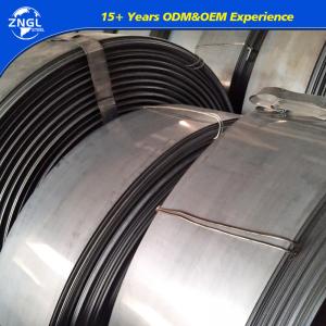 China After-sales Service Polished 0.8*16mm 19mm 32mm Sch80 Ss400 S235jr Q345 Q195 Low Carbon Cold Rolled Metal Galvanized Steel Strapping supplier