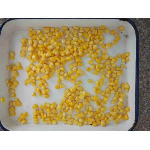 425g Non - GMO Canned Corn Kernels Grade A , Sweet Corn In Can