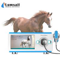 China Physiotherapy Race Horses Shockwave Therapy Machine on sale