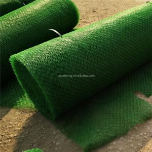 Normal 50m Length Erosion Control Geosynthetics Plastic Netting for Customer Requiremen