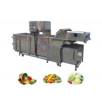 Air Bubble Type Fruit and Vegetable Washing Equipment Supplier