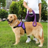 China Waterproof Heavy Duty Retractable Dog Lead For Big Dogs Nylon on sale