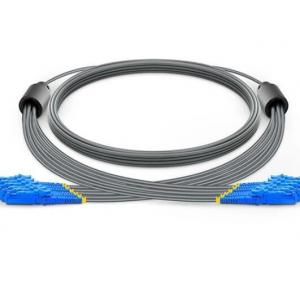 China Armored Fiber Optic Patch Cable 6 Core OS2 E2000 To E2000 Single Mode High Density supplier