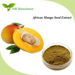 Pure African Mango Seed Extract Powder Dietary Fibre Anti Diabetic