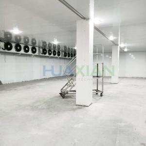 CE Approved Cold Storage Room for Fresh Vegetables/Fruit/Mushroom/Flower/Berries