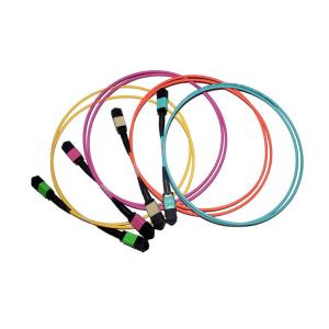 24 Core MPO To MPO Fiber Cable 40 Gb Multimode Fiber Optic Patch Cord