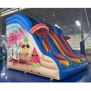 0.55mm PVC Commercial Inflatable Water Slides Renting Inflatable Slides