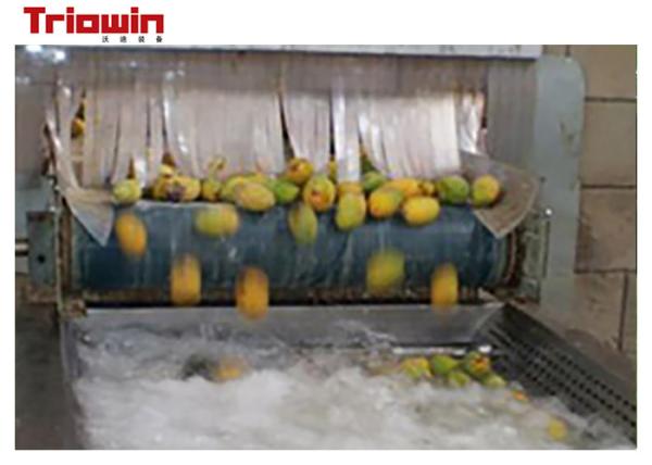 Automatic Fruit And Vegetable Processing Line Palletizer Machine For Mango Juice
