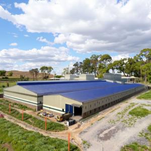 China Custom Steel Structure Chicken House for Poultry Farming wholesale