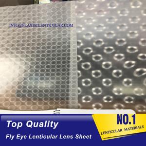 PLASTIC LENTICULAR fly eye lens microlens film sheet 3d plastic lenticular lens material for 3d lenticular printing