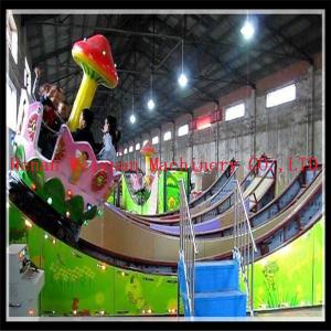 China amusement park  double wave rides  newest for sale supplier