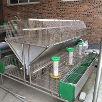 China 50~80 Babies Farm Rabbit Cage Commercial Rabbit Breeding Cages on sale