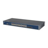 24 Ports Ethernet Network Switch 96 Mpps L3 Managed With SFP Uplink