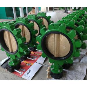 Electric Actuated Cast Iron Ductile Iron LT Lug Type Butterfly Valve for Water Control