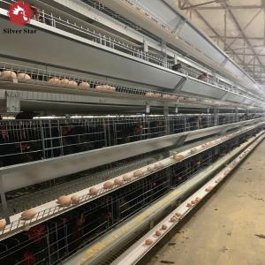 China Poultry Farm Hen Layer Chicken Cage H Frame Automatic Laying 8tiers supplier