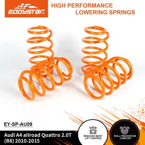 China EDDYSTAR High-Stiffness Sport Lowering Springs with Progressive Spring Rate and Precision Fitment for Audi A3 A4 wholesale