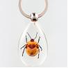 20pcs Resin Insect Specimen Keychain As Beautiful Fashion Key Chain