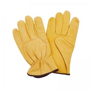 LC10990 Rough Rider Cowhide Leather Classic Driver Gloves with Elastic Back Gold Made