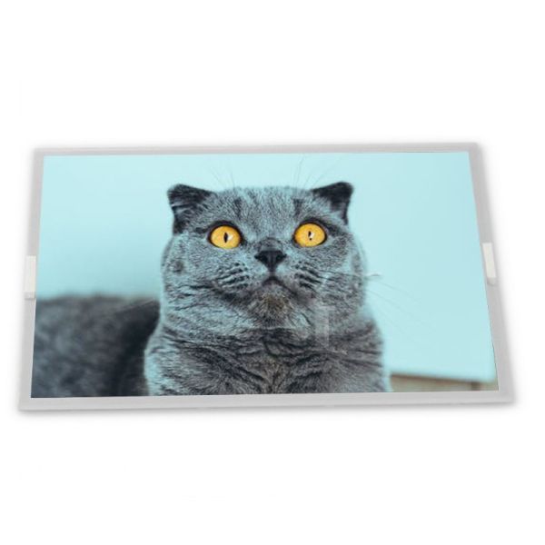 ZJ090NA-03B 9.0 Inch 800*480 Resistive Thin Film Transistor LCD Display Module Panel Model