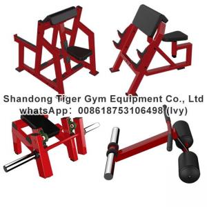Gym Fitness Equipment Fore Arm Curl / Seated Arm Curl / Arm curl machine exercise machine