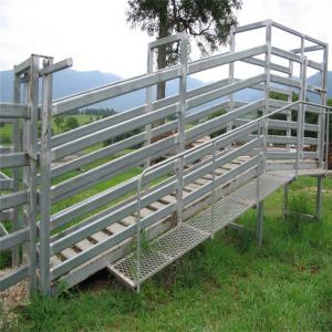 China Hot Dipped Galvanized Sheep Loading Ramp Plans Livestock Handling Equipment supplier