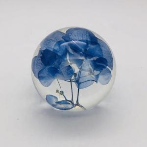 Real Flower Paperweight Dia80mm With Hydrangea Inside