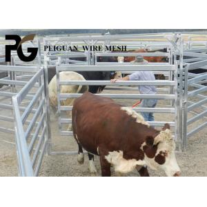 PVC Coated Animals Steel Cattle Yard Panels Round Tube Welded