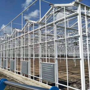 China High Venlo Type Greenhouse Strong Commercial Multi Span Glass Covered supplier