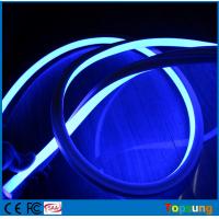 China hot-sale square 127v 16*16m blue led neon flex light for building on sale