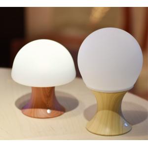 China 家の装飾部屋の装飾夜ライト スマートなSilicona LEDの卓上スタンド supplier