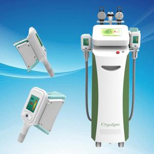 China Multifunctional 5 Handles Cryolipolysis Slimming Machine / Fat Frozen System for Mecial Beauty Clinic Use supplier
