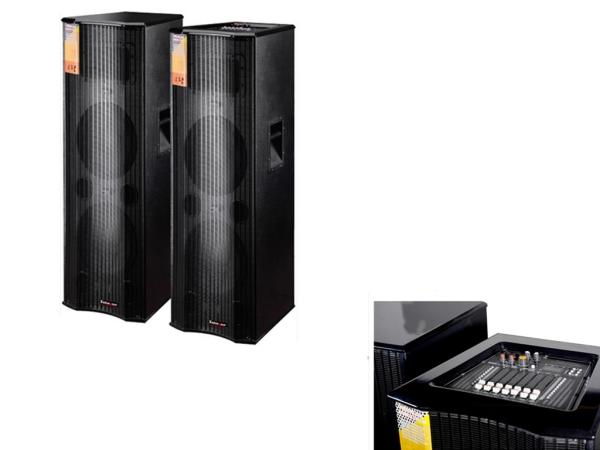 Sistema de sonido activo 420x380x1150m m del Presidente con calidad de sonido magnífica