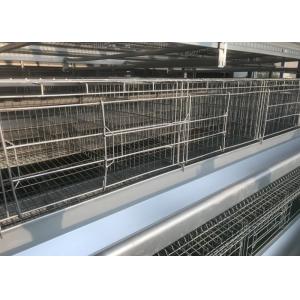 China High Efficiency Chicken Farm Water System Easy Maintain 15-20 Years Lifespan wholesale