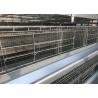 China High Efficiency Chicken Farm Water System Easy Maintain 15-20 Years Lifespan wholesale