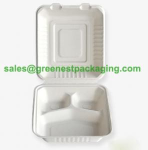 China Biodegradable Lunch Box/Hamburger Box/Hot dog Box wholesale