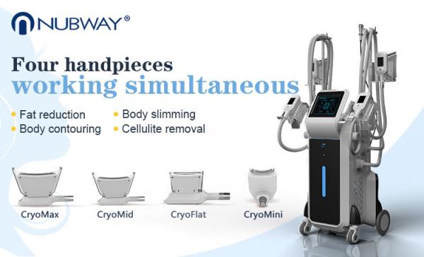 4 handles cryoliplysis fat reduction slimming machine fat freezing cryo machine