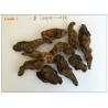 Chinese Fox-Glove Root,Rhizoma rehmanniae,Rehmannia glutinosa Libosch.