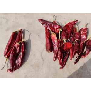 China Dried Long Red Chillies Sweet Organic Guajillo Peppers 10cm Length supplier