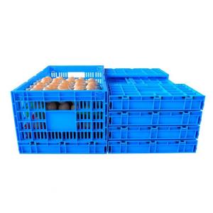 China Customized Logo Blue Egg Storage Box Refrigerator for Modern Chicken Grid Drawer Type supplier