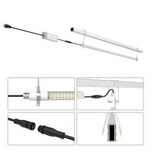 40W Interlight LED Cultivation Light Red Blue Commercial Greenhouse