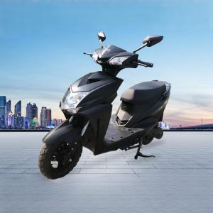 China 2024 800W 60v Cargo Delivery Motorcycle with Rear Hub Motor Steel Frame Lithium Battery wholesale