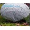 Frost Protection Perfect For Fruit Tree, Patio Trees, Raised Bed Vegetables, Shrubs, Potted Flowers, Tall Upright Plants