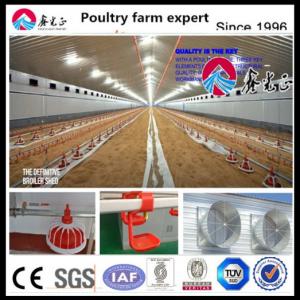 OEM Standard Poultry House Steel Structure With Sliding Windows