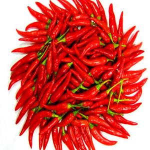 China 4-7cm Stemless Dried Red Chilli Peppers 90000 SHU With Strong Pungent Chilli Flavor supplier