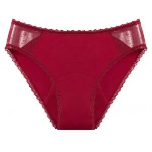 Reusable Heavy Female Period Panties Underwear Set Mesh Lace Menstrual Cycle Panties