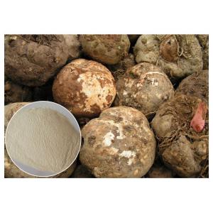 Food Ingrediens  Konjac glucomanan powder pure soluble fiber Organic Konjac Root Extract Gum