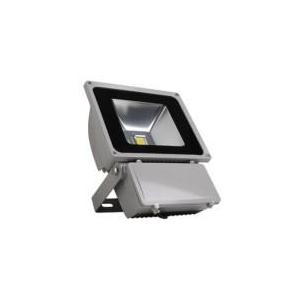 China Reflector del poder más elevado 50W LED con CE& Aprobación de RoHS supplier