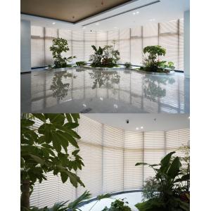 China Automatic Battery Operated Motorized Blackout Zebra Roller Blinds Curtains For Windows Zigbee APP wholesale